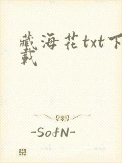 藏海花txt下载