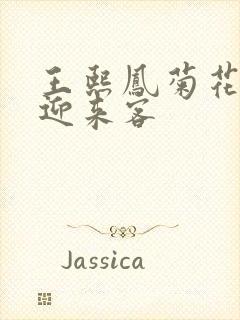 王熙凤菊花门初迎来客