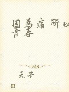 因为痛 所以叫青春