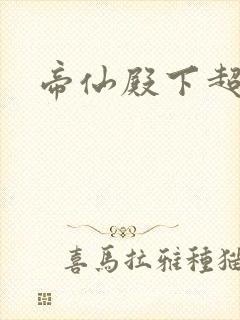 帝仙殿下超冷的