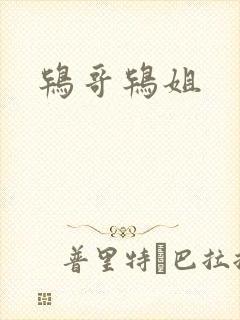 鸨哥鸨姐
