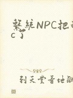 系统NPC把我c了