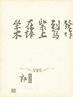 坐在紫到发黑的木棒上写作业