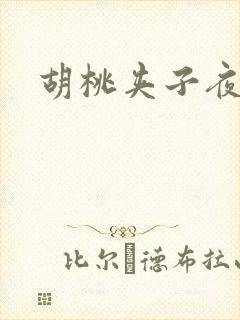 胡桃夹子夜未眠