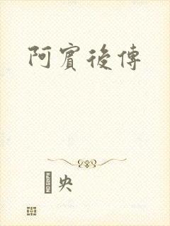 阿宾后传