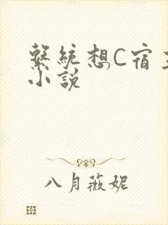 系统想C宿主的小说