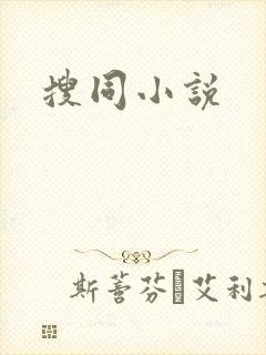 搜同小说