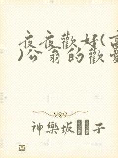 夜夜欢好(高h)公翁的欢爱