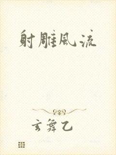 射雕风流