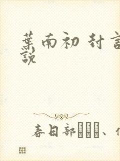 叶南初 封言小说