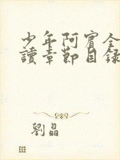 少年阿宾全文阅读章节目录