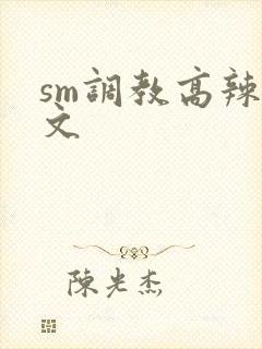 sm调教高辣h文