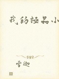 我的极品小姨