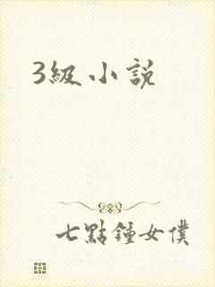 3级小说