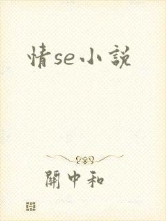情se小说