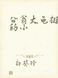 公翁大龟挺进我的小