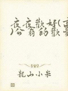 夜夜欢好(高h)公翁的欢爱h