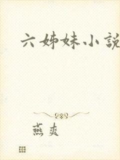 六姊妹小说