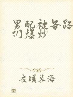 男配被各路大佬们爆炒