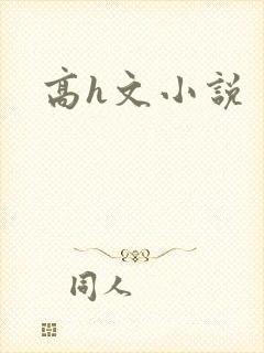 高h文小说