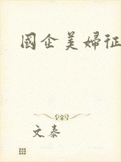 国企美妇征途