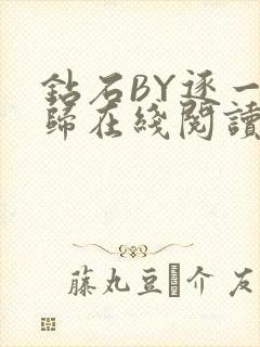 钻石BY逐一而归在线阅读