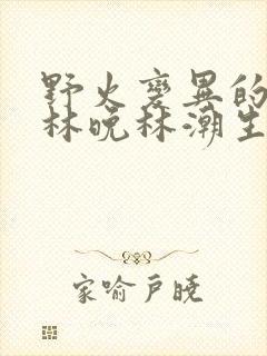 野火变异的父爱林晚林潮生