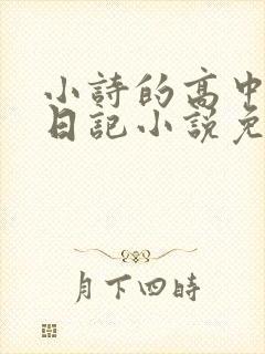 小诗的高中成长日记小说免费阅读