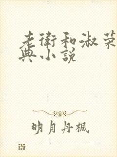 老卫和淑荣的经典小说