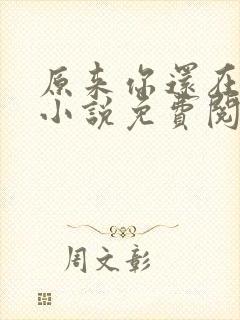 原来你还在这里小说免费阅读