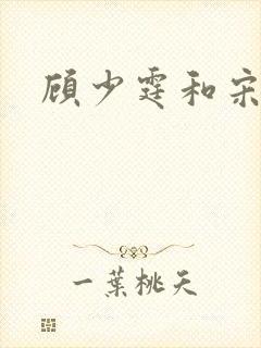 顾少霆和宋斯曼