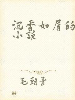 沉香如屑的原著小说