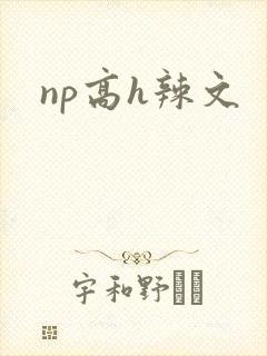 np高h辣文