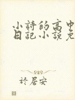 小诗的高中成长日记小说免费阅读