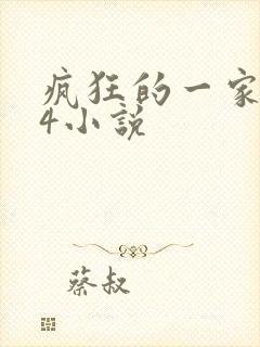疯狂的一家ps4小说
