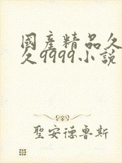 国产精品久久久久9999小说