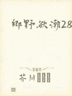 乡野欲潮28章