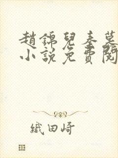 赵锦儿秦慕修的小说免费阅读全文