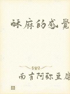 酥麻的感觉小说