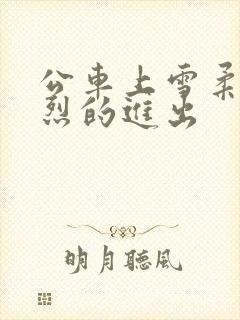 公车上雪柔被猛烈的进出