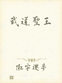 武道圣王