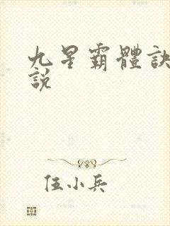 九星霸体诀 小说