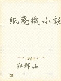 纸飞机小说
