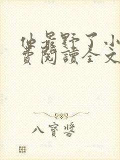 他最野了小说免费阅读全文