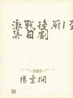 激战后厨1至5集日剧