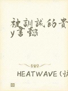 被训诫的贵妃by书懿