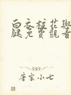 白衣校花与大长腿免费观看电视剧