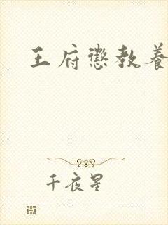 王府惩教养日常