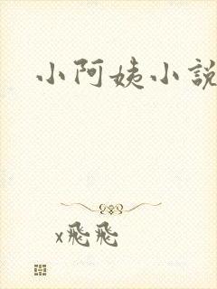 小阿姨小说