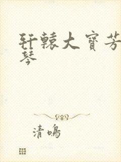 轩辕大宝芳菲雅琴